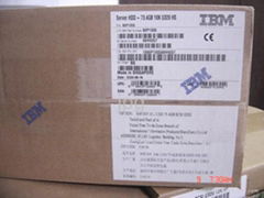 IBM HDD (Hard Drive) 