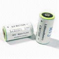 lithium -ion battery