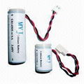  Primary Lithium Battery with UL and RoHS Certification  1