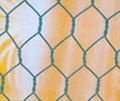 hexagonal wire mesh 1