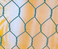 hexagonal wire mesh