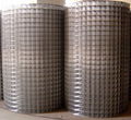 welded wire mesh