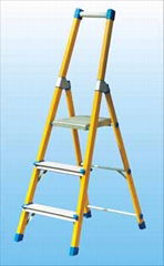 fiberglass ladder