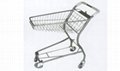 Shopping cart 1