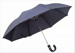 2 Fold Automatic Opening/Closing Umbrella