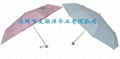 3 Fold manual Opening  Umbrella  2