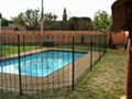 Swimming Pool fence 3