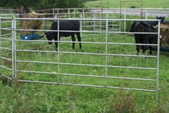 Livestock Fence