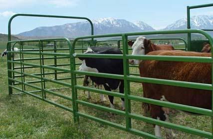 Livestock Fence 2