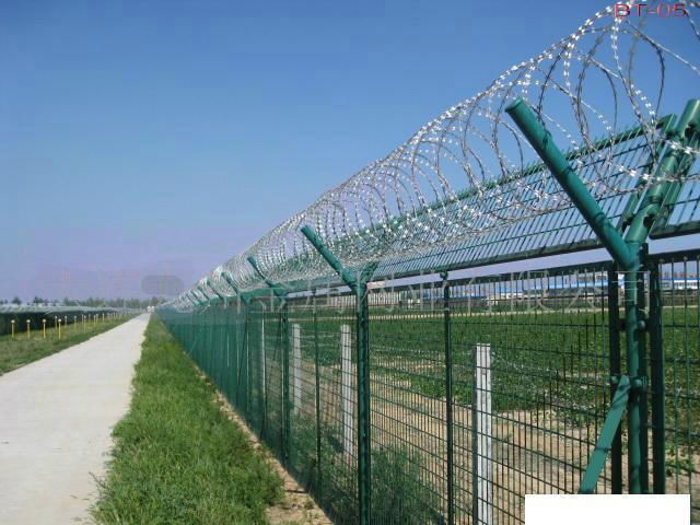 Safety Fence 5