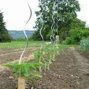 Tomato Spiral Wire