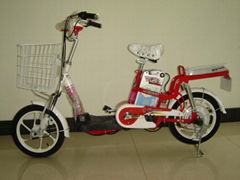 Electric Bicycle