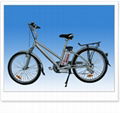 Electric Bicycle