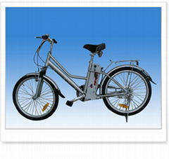 Electric Bicycle