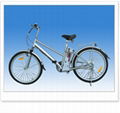 Electric Bicycle