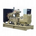 Cummins Diesel Generator Set 1