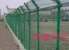 wire mesh fence  2