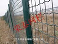 Wave Type Welded Mesh  1