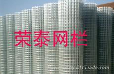 Wave Type Welded Mesh  2