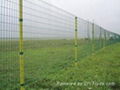 safety mesh fences 1