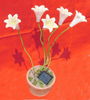 solar polyrein flower pot 2