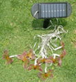 solar string light 2