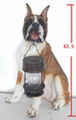 solar poly dog light