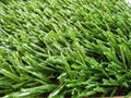 Artifiical grass 1