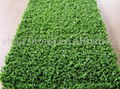 artificial grass for tennisball yard 1