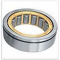 Cylindrical roller bearing