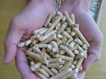 wood pellet fuel 2