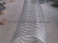 Galvanized  wire 4