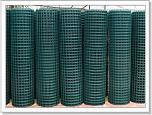 Welded Wire Mesh 