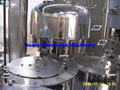 Mineral Water Filling Machine (Beverage Filling Machine) 1