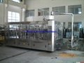 Mineral Water Filling Machine (Beverage Filling Machine) 3