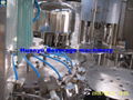 Mineral Water Filling Machine (Beverage Filling Machine) 4