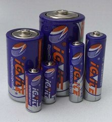 Primary Dry Battery