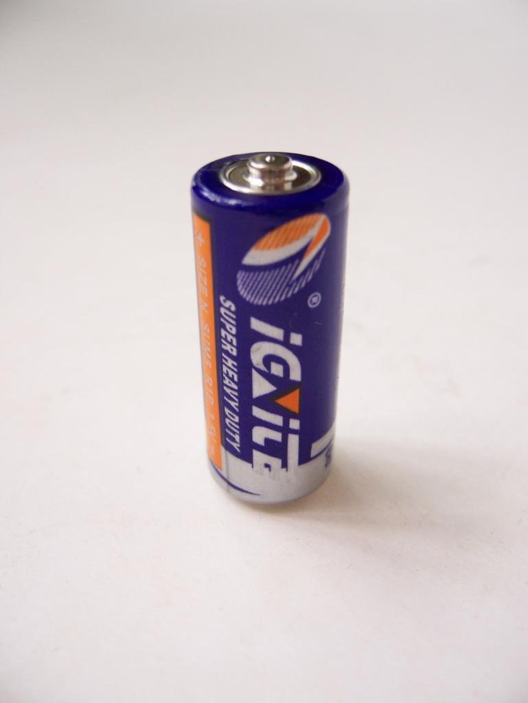 Primary Dry Battery 2