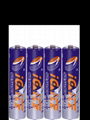 Primary Dry Battery 3