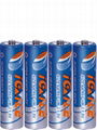 Primary Dry Battery 4