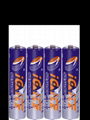 AAA Disposable Battery  1