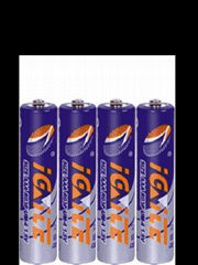 AAA Disposable Battery 