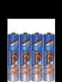 AAA Disposable Battery  2