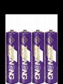 AAA Disposable Battery  3