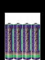 AAA Disposable Battery  4