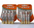 AA alkaline battery 1