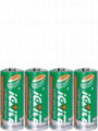 R1/UM5 super heavy duty battery 1