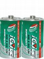 D size dry battery 1