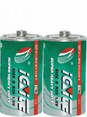 D size dry battery