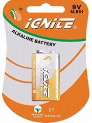 9v alkaline battery